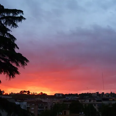 Domus Getsemani 住宿加早餐酒店 3*